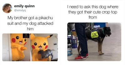 12 Of The Bestest Good Bois Who Deserve Their Doggo Day In The Spotlight