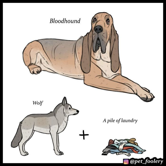 So all I need is a wolf in my room and I’ll get one of these?