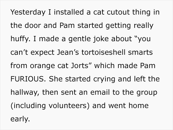 So, OP installed a cat door, but Pam wasn't thrilled. And he made one remark that made her furious!