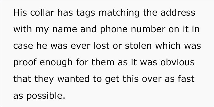 His collar has matching tags