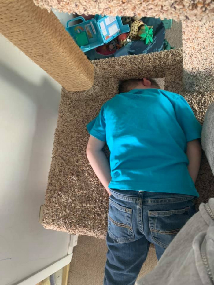 Cynthia’s son got his head stuck in the cat scratching post.