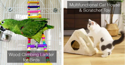 These Are The Most Incredible Pet Products On The Market Right Now