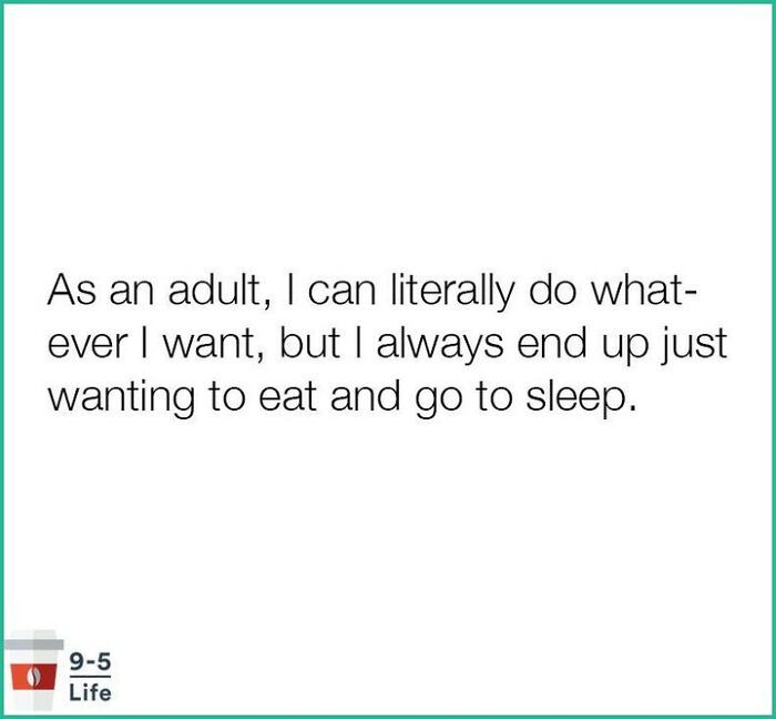 3. There are so many options but those are obviously the best of the best. Why would you need much more after a grinding work day?