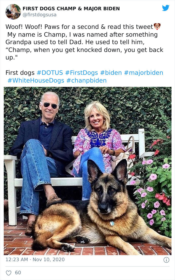Shortly before the election, Joe Biden tweeted on November 1st: