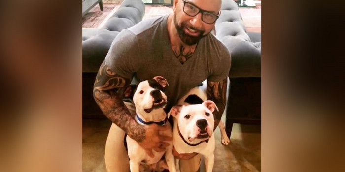 Their hero turned out to be none other than famous actor Dave Bautista!