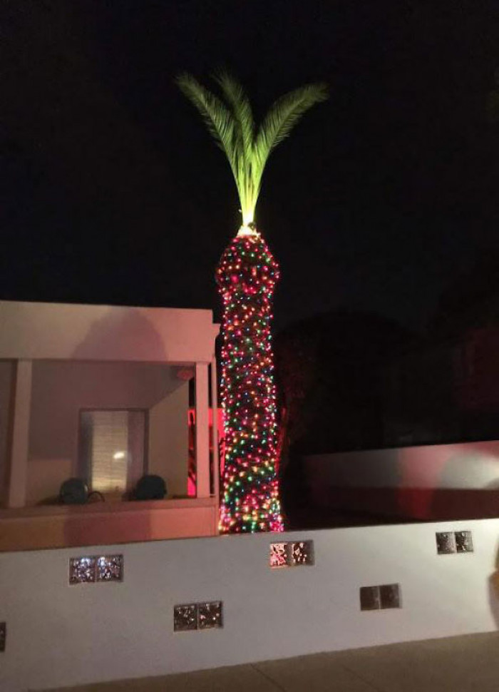 #23 The Neighbors Decorated Their Lawn Penis Again