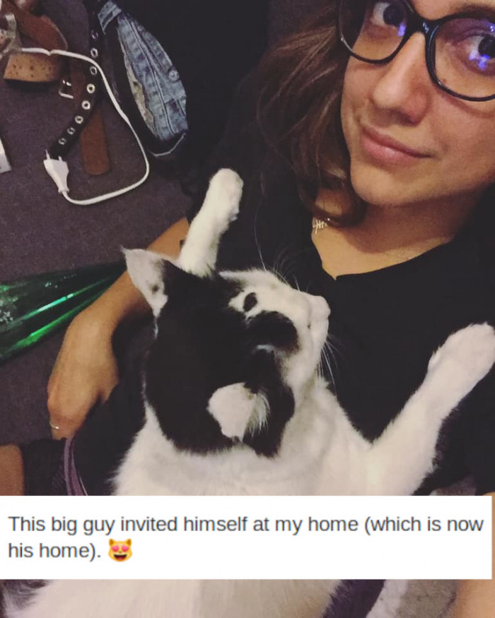 6. "Dis mine now, meow."