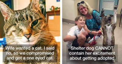 Wholesome Rescue Pet Photos That Will Absolutely Warm Your Heart
