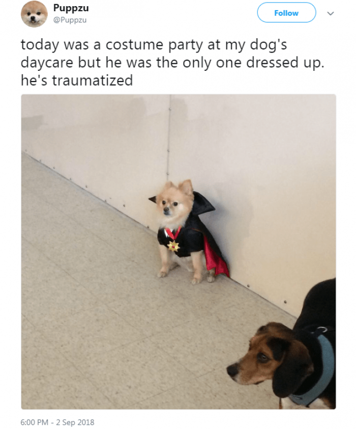 The most adorable nerd.