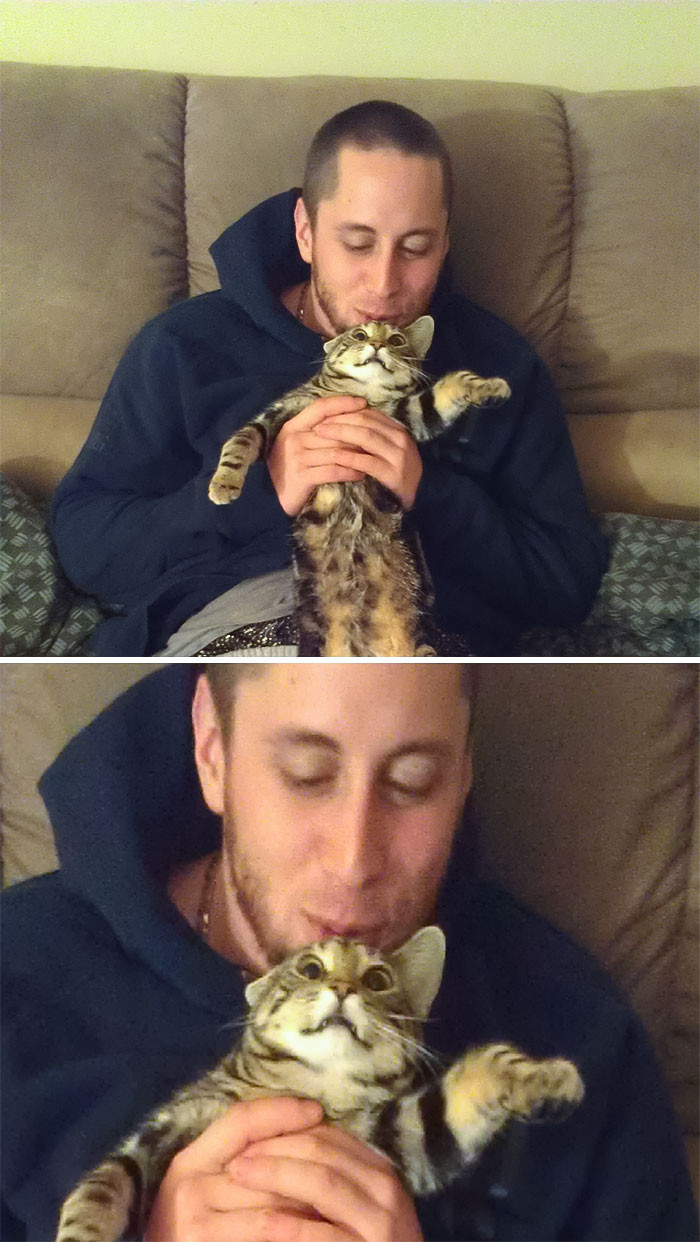 12. "I Tried to Make My Boyfriend Take a Cat Beard Picture. This Was the Result"