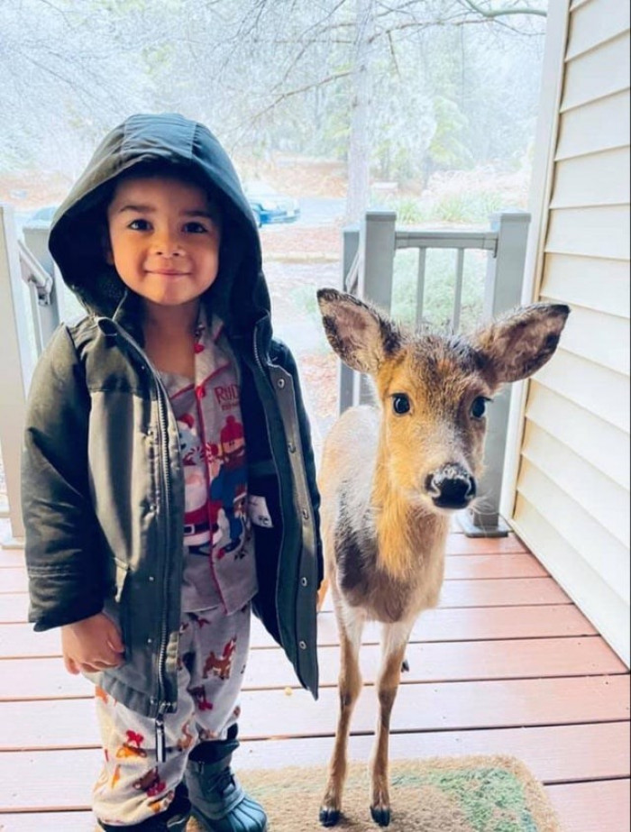 5. '4-year-old in Virginia today went outside to play, then came back to the front door with a new friend'