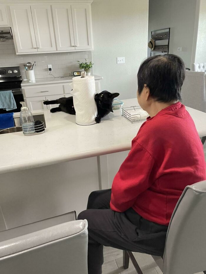 7. My Helpless Grandma Watches As Our Paper Towels Get Nommed