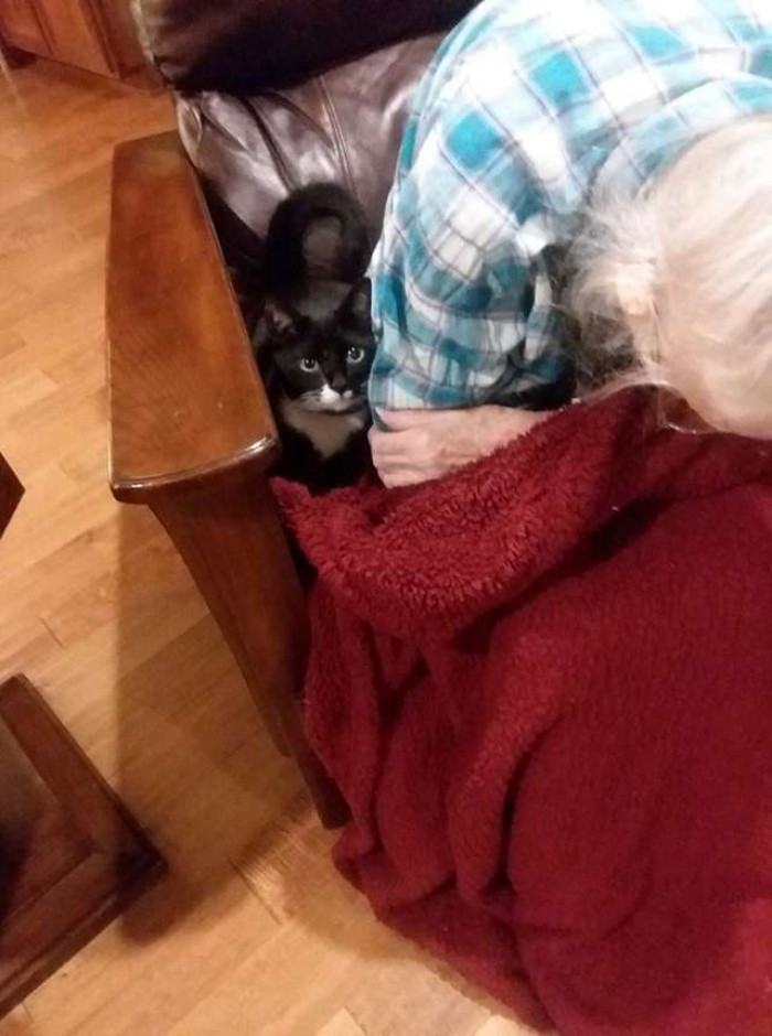 Close view of the grandmother resting, cat perched on the bedside.