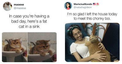 The Cutest, Chunkiest Animals That Will Make Your Day More Positive