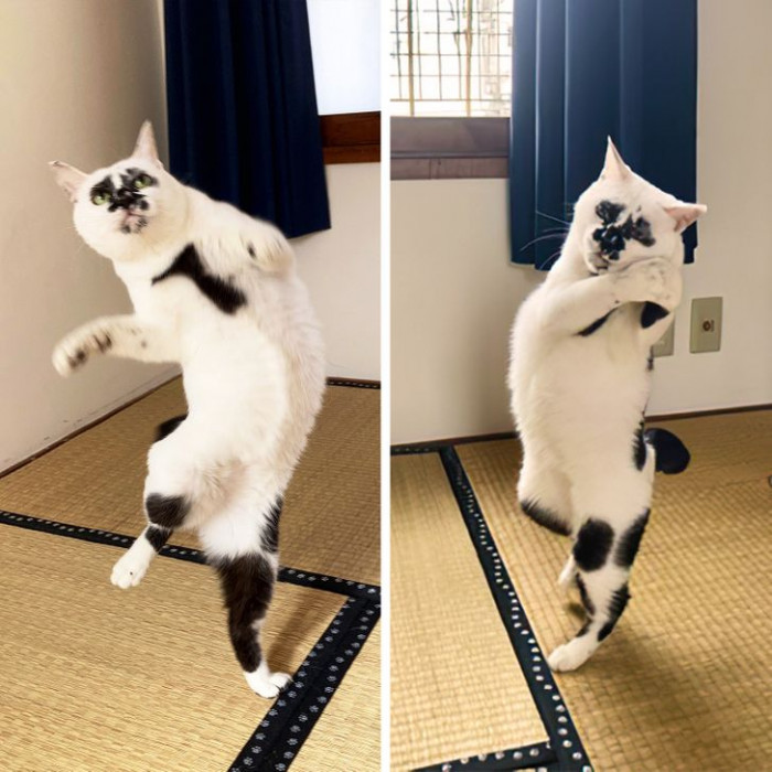 4. When your favorite song comes on