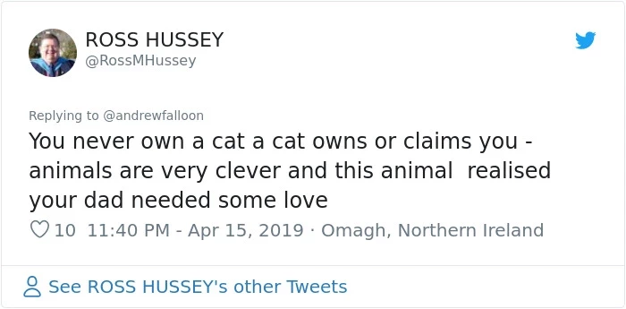 Clearly, this cat realized he was needed.