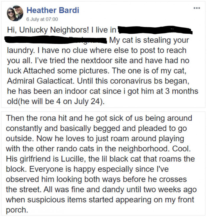 After realizing what was going on with her cat, Heather Bardi had to make a slightly shameful post...