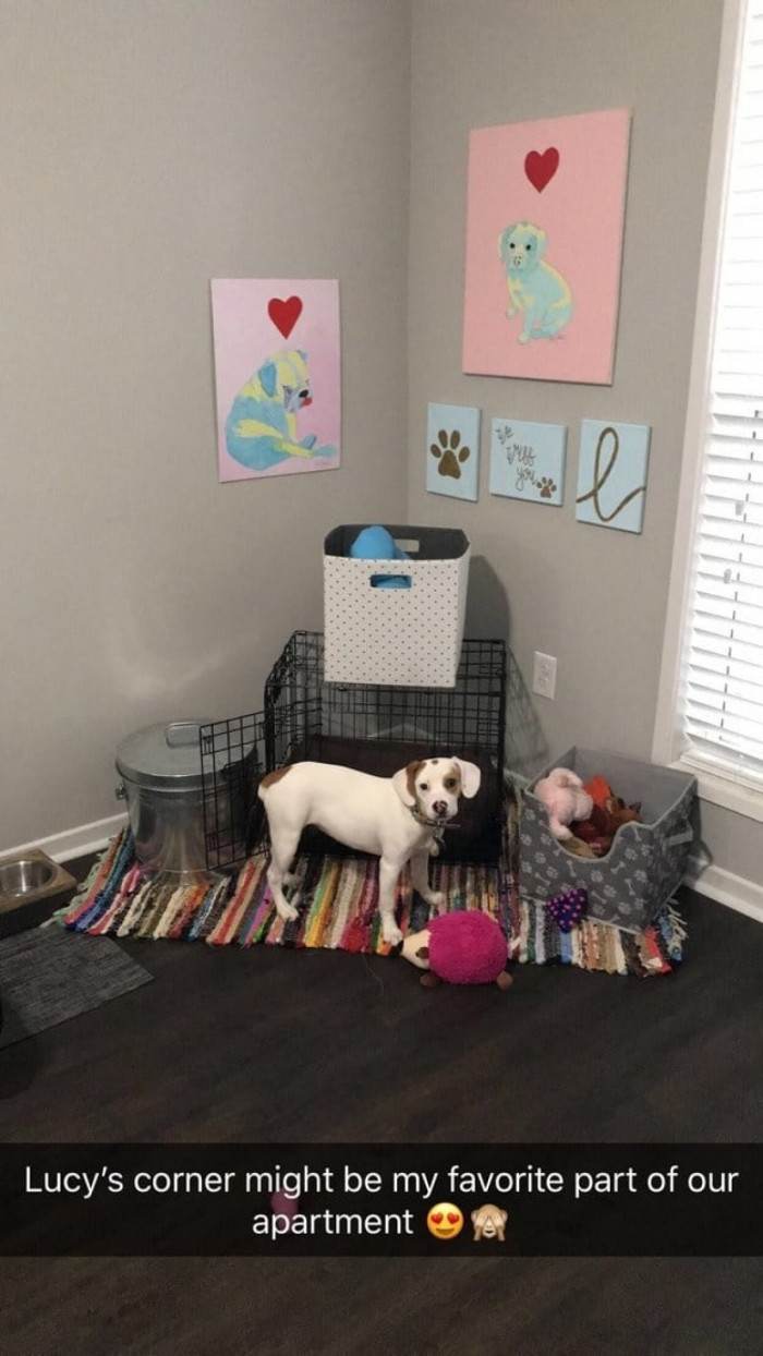 8. She got her very own corner!