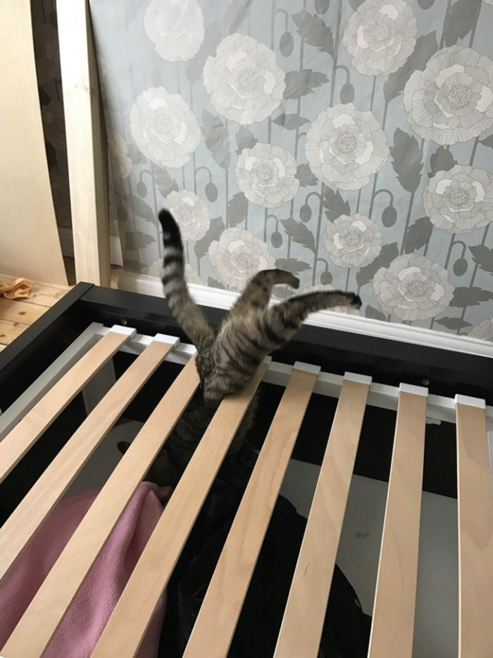 12. 'I turned my back for 5 seconds...'