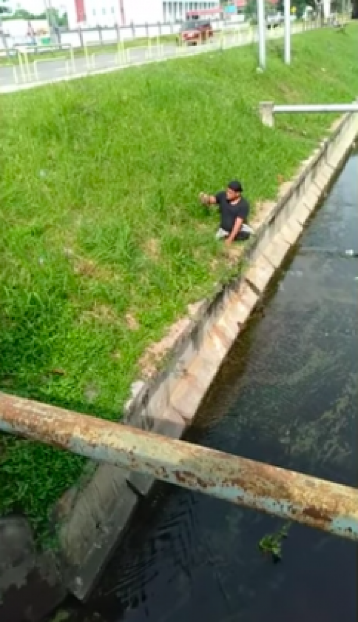 Finally, luck was on his side! He grabbed the little kitten and brought it to safety on the grass.