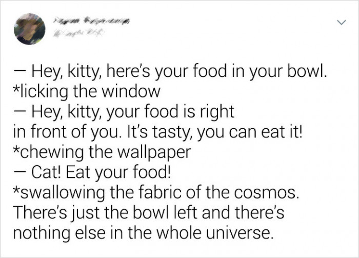 Cat Logic 101: