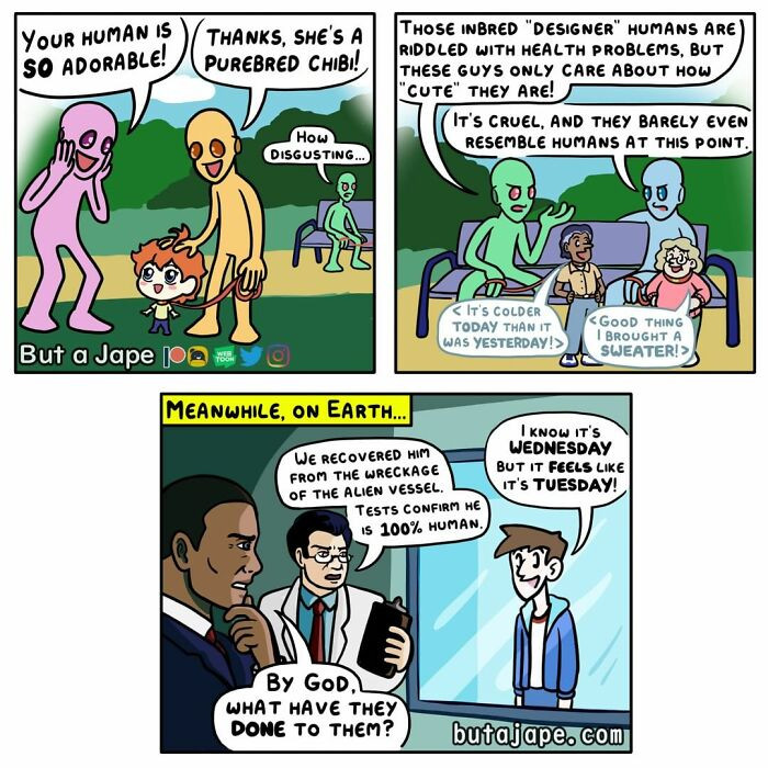 11. What have they done to them?