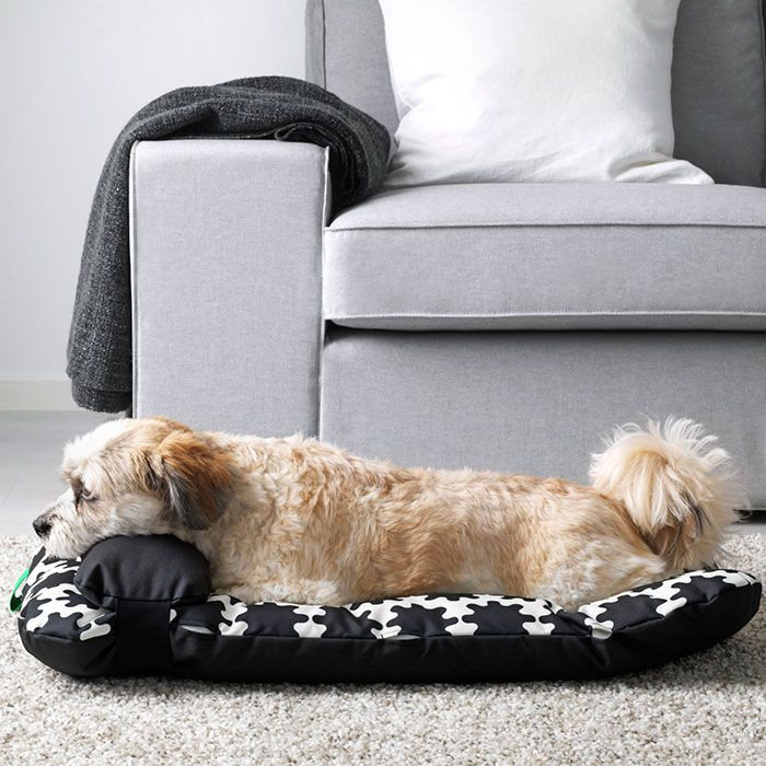  Beautiful designs for a dog's comfort