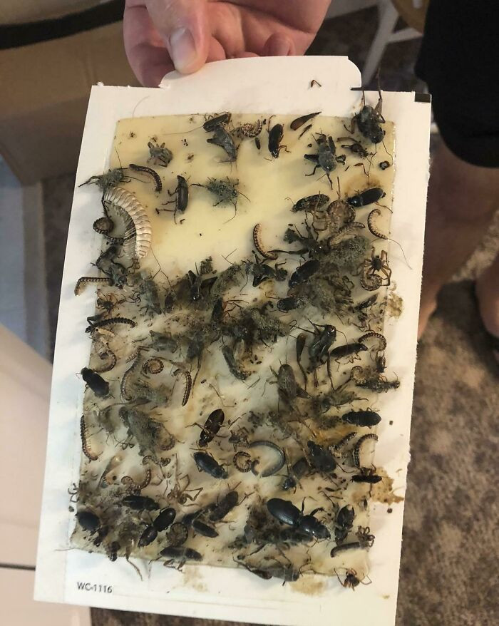 11. While renovating an older home, I found this...