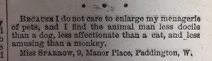 Miss Sparrow likens taking a husband to adding to her menagerie of pets.