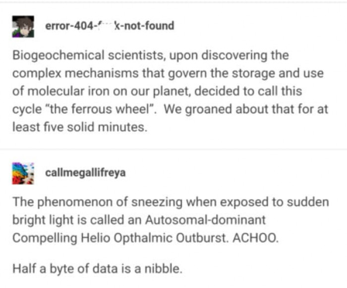 5. So groan-worthy but so witty and genius at the same time!