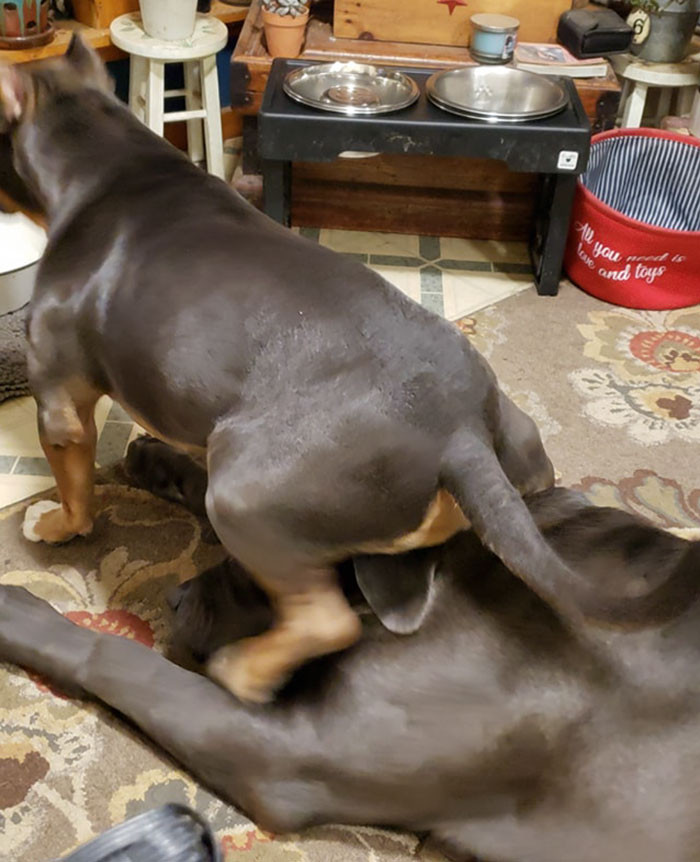 Archie may usually be the fella on top, but he's not always calling the shots.