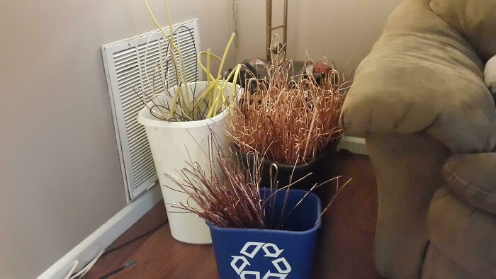 35. An electrician's spouse shared this creative project.