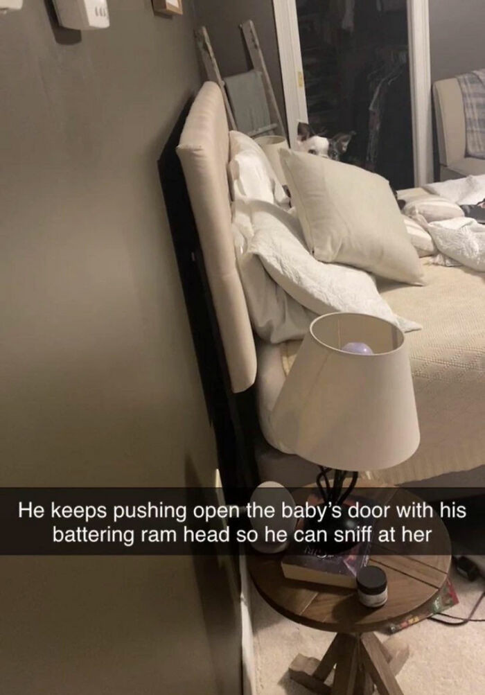 Henry was very concerned, and he kept breaking in and out of the nursery.