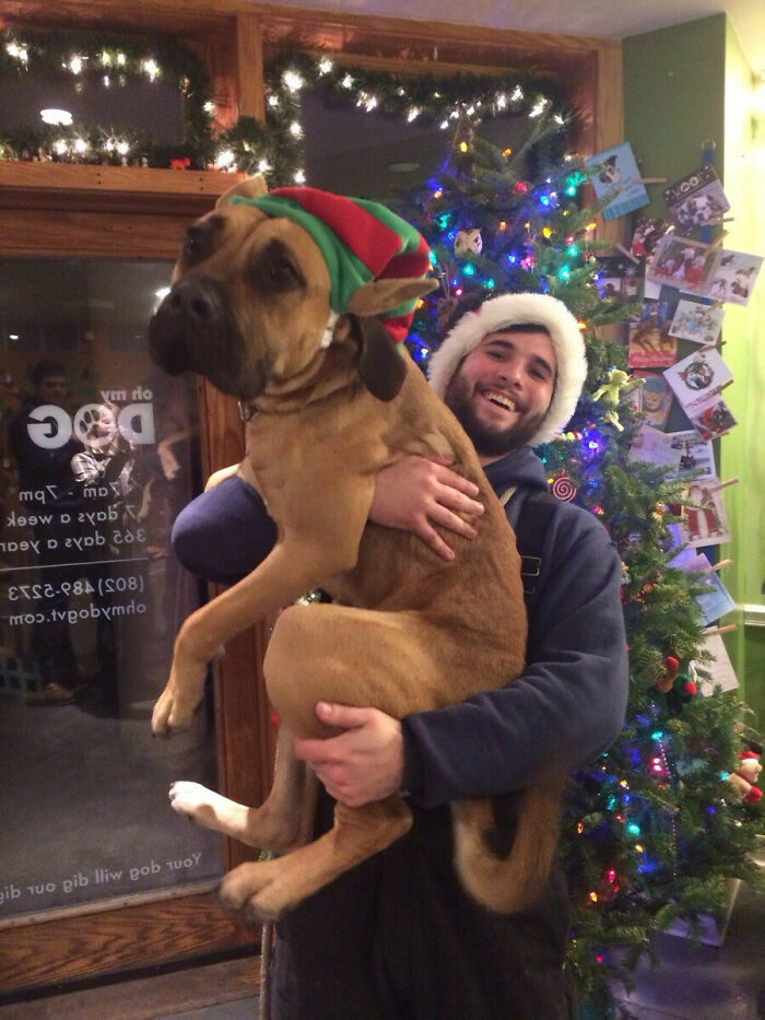 45. Dog Waited For 8 Months To Find A Home, Gets Adopted By Caretaker On Christmas