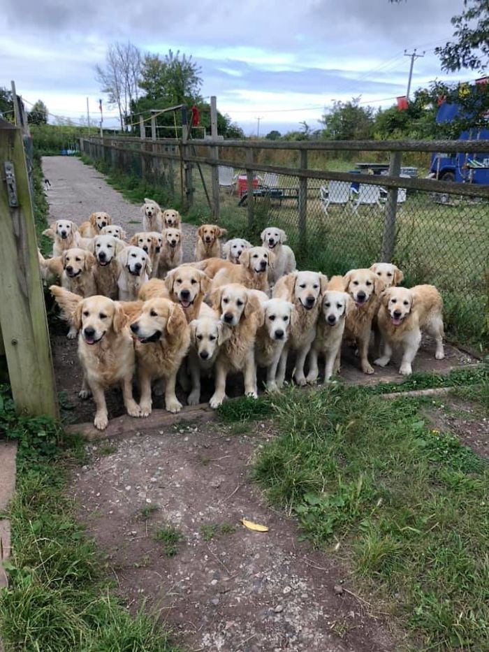 14. "A golden gate of good boys and girls."