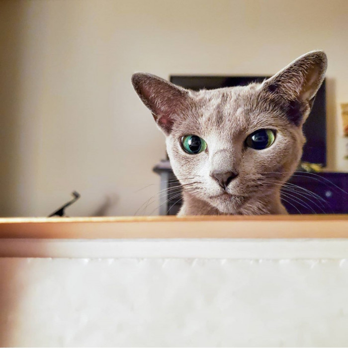 Dina is also a teeny bit picky...