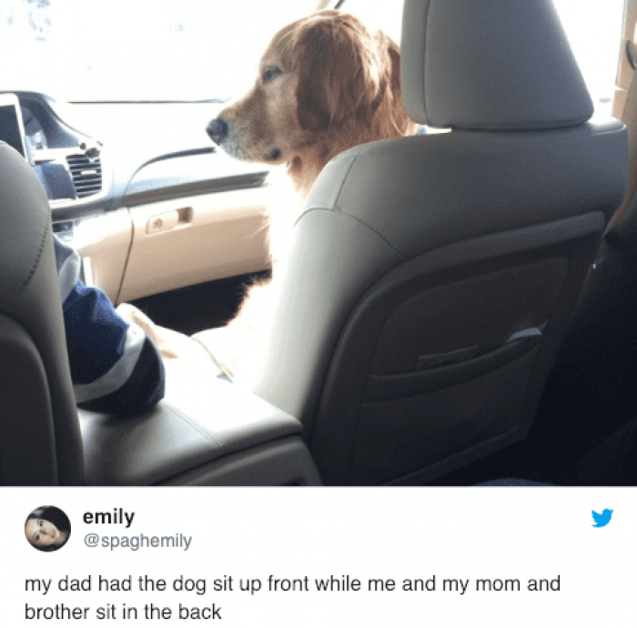 Shotgun rider!