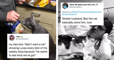 18 People Who Swore They Never Wanted a Pet but Now Spoil Them Beyond Belief