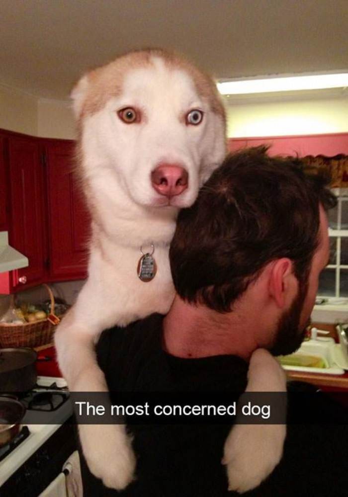 Much concern. Must boof.