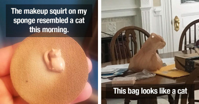 Cats Can Be Seen Everywhere and All the Time When You're Totally Obsessed with Them