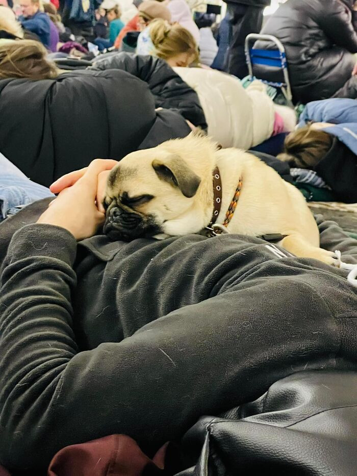 #9 Don't worry, we're going to be okay