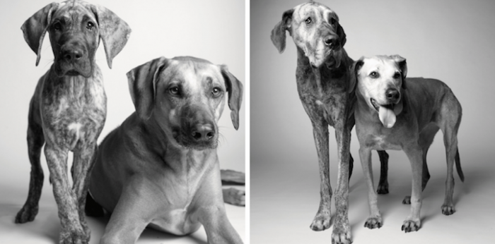 3. Kayden, 11 months and 7 years. Brodie, 5 years and 12 years.