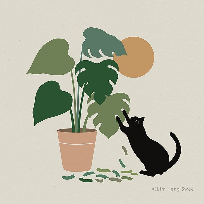 The reality of cats and plants.