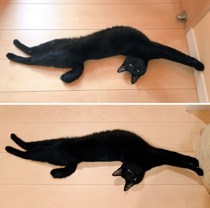 23. "Summer Tora And Winter Tora"