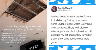 Frankie Muniz's Cat Just Destroyed His 5-Storey Home