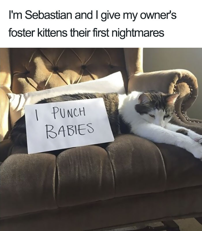 You call it nightmares; he calls it life lessons...