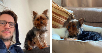 Ridiculous Dog Steals Dentures And His Human's Reaction Is Utterly Hysterical