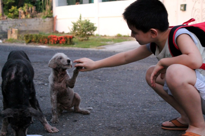 Here's Ken bonding with White Puppy!