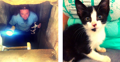Small Kitty Trapped In A Tomb Is Rescued By The Bravest Human