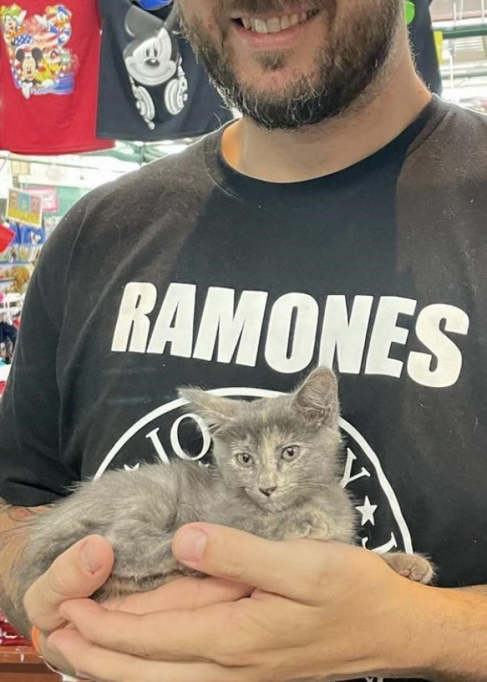 3.  “Just picked up this 8 week old little lady from a flea market for free. I was just looking for some throwing stars. Hit me with some name ideas!”